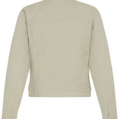 Frtwill Jacket Desert Sage Back.jpg